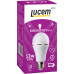 Лампа светодиодная Lucem E27 12W 6500K матовая FLEBL122765L