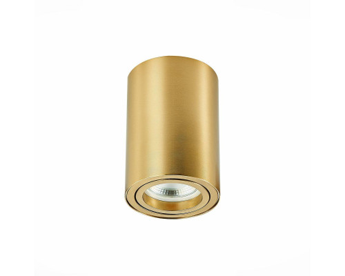 Потолочный светильник ST Luce ST108.207.01 Потолочный светильник ST Luce ST108.207.01
