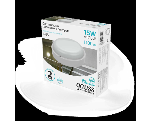 Уличный светодиодный светильник Gauss 126411215