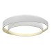 Потолочный светодиодный светильник ST Luce Crosby SLE6009-502-01