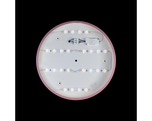 Потолочный светодиодный светильник Loft IT Axel 10002/24 pink