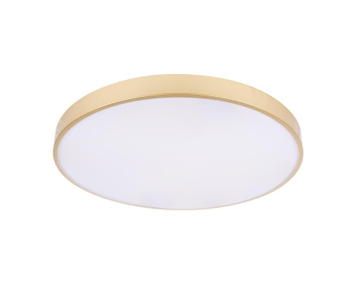 Потолочный светодиодный светильник Loft IT Flims 10228/B Потолочный светодиодный светильник Loft IT Flims 10228/B