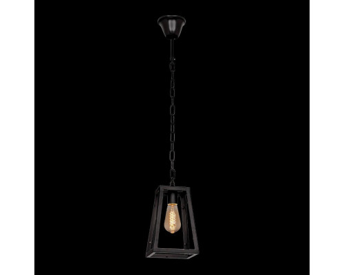 Подвесной светильник Loft IT Modern Filament Loft1127 Подвесной светильник Loft IT Modern Filament Loft1127