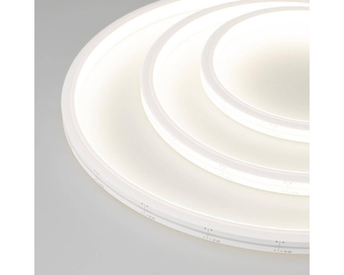 Гибкий неон Arlight 9.6W/m 120LED/m 2835SMD дневной белый 5M ARL-Moonlight-1213-Top 24V Day 025550 Гибкий неон Arlight 9.6W/m 120LED/m 2835SMD дневной белый 5M ARL-Moonlight-1213-Top 24V Day 025550