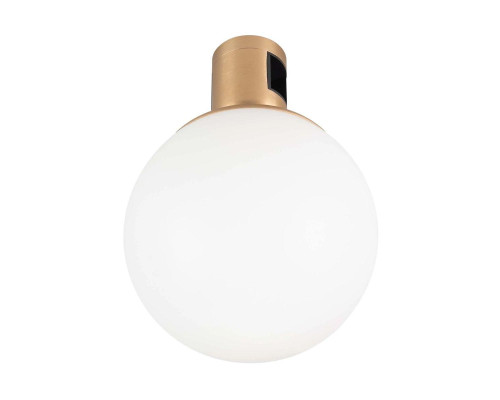 Трековый светодиодный светильник Arlight Art-Apriori-Sfero-R120-5W Warm3000 039289 Трековый светодиодный светильник Arlight Art-Apriori-Sfero-R120-5W Warm3000 039289