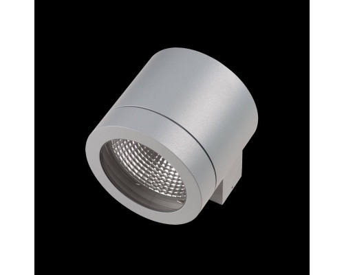 Уличный настенный светильник Lightstar Paro 350619 Уличный настенный светильник Lightstar Paro 350619
