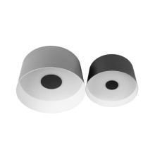 Потолочный светодиодный светильник Loft IT Duo 10360/2