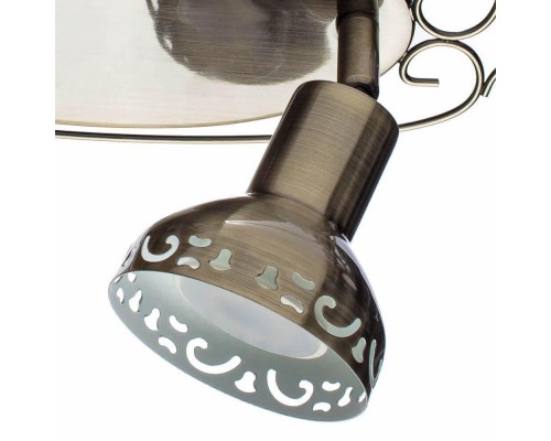 Спот Arte Lamp Focus A5219AP-2AB