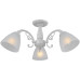 Люстра Illumico IL0232-3CSQ-24 SS SPICA