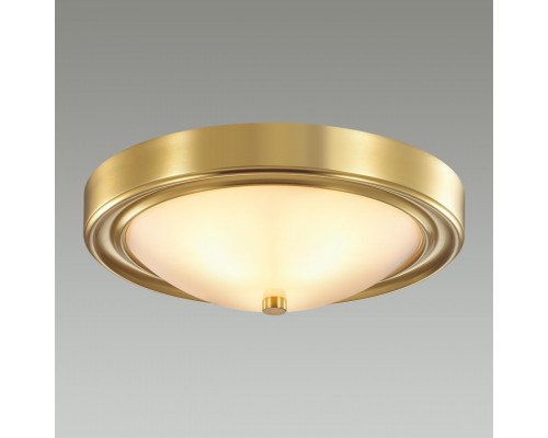 Настенно-потолочный светильник Lumion Vintage Nina 5259/2C Настенно-потолочный светильник Lumion Vintage Nina 5259/2C