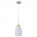 Подвесной светильник Loft IT Watchman Loft4402A-Wh