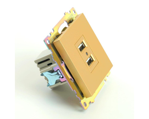 Розетка 2хUSB Stekker Катрин золото GLS10-7115-08 49229 Розетка 2хUSB Stekker Катрин золото GLS10-7115-08 49229