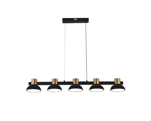 Подвесная светодиодная люстра Indigo Traforo 11059/5PL Black V000184L Подвесная светодиодная люстра Indigo Traforo 11059/5PL Black V000184L