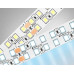 Светодиодная лента Ambrella Light 24W/m 240LED/m 2835SMD холодный белый 5M GS3703