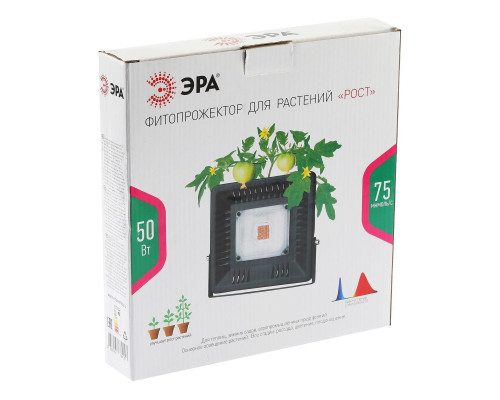 Прожектор светодиодный ЭРА 50W 1370K Fito-50W-Led Б0039033 Прожектор светодиодный ЭРА 50W 1370K Fito-50W-Led Б0039033