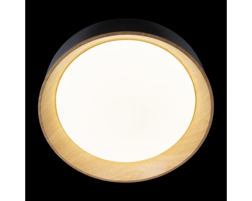 Потолочный светодиодный светильник Loft IT Coin 10202 Black Потолочный светодиодный светильник Loft IT Coin 10202 Black