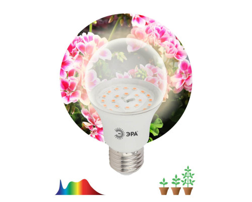 Лампа светодиодная для растений ЭРА E27 11W 2150K прозрачная FITO-11W-Ra90-E27 Б0039172 Лампа светодиодная для растений ЭРА E27 11W 2150K прозрачная FITO-11W-Ra90-E27 Б0039172