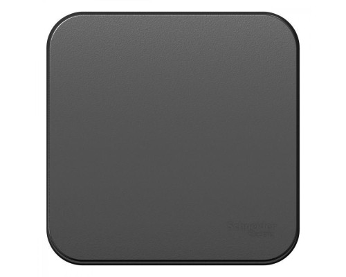 Выключатель одноклавишный Systeme Electric Blanca 10A 250V антрацит BLNVA101016 Выключатель одноклавишный Systeme Electric Blanca 10A 250V антрацит BLNVA101016