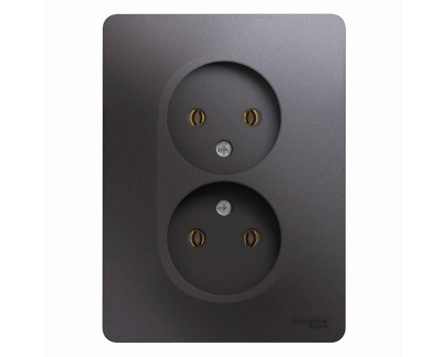 Розетка двойная 2К Systeme Electric Glossa 16A 250V графит GSL001320 Розетка двойная 2К Systeme Electric Glossa 16A 250V графит GSL001320