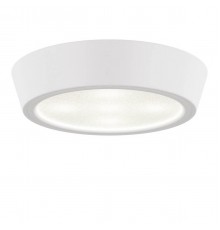 Потолочный светильник Lightstar Urbano Mini LED 214702