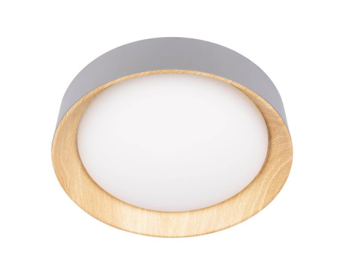 Потолочный светодиодный светильник Loft IT Coin 10202 Grey Потолочный светодиодный светильник Loft IT Coin 10202 Grey
