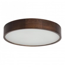 Потолочный светодиодный светильник Kanlux Jasmin 23122